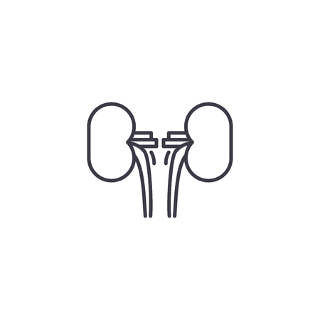 Kidneys linear icon concept. Kidneys line vector sign, symbol, illustration.のイラスト素材