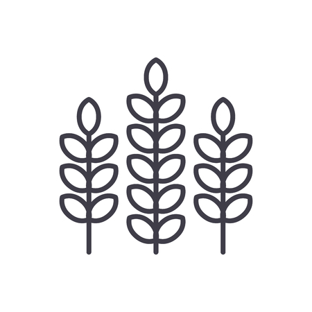 Cultivation of plants black icon concept. Cultivation of plants flat  vector symbol, sign, illustration.のイラスト素材