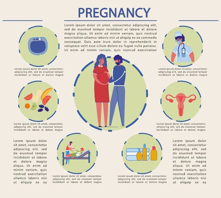 Vector Illustration Late Pregnancy, Infographic.のイラスト素材