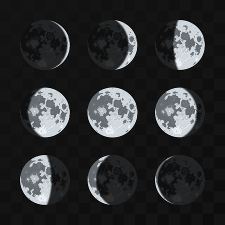 Moon phases vector set. Night moon and nature full moon illustrationのイラスト素材