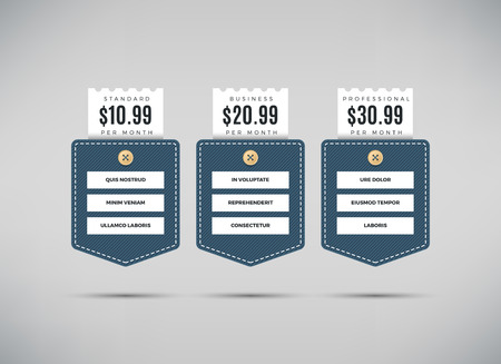 Web pricing table vector template for business plan with comparison of services. Table list pricing professional and standard, illustration pricing columnのイラスト素材