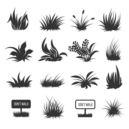 Monochrome grass and lawn vector silhouettes illustrationのイラスト素材