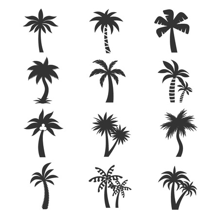 Tropical palm tree silhouettes on the white background. Set of exotic tropical plant with big leaves. Vector illustrationのイラスト素材