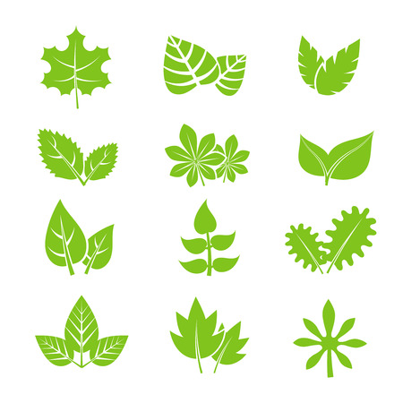 Green leaves vector icons set. Natural eco organic elements illustrationのイラスト素材