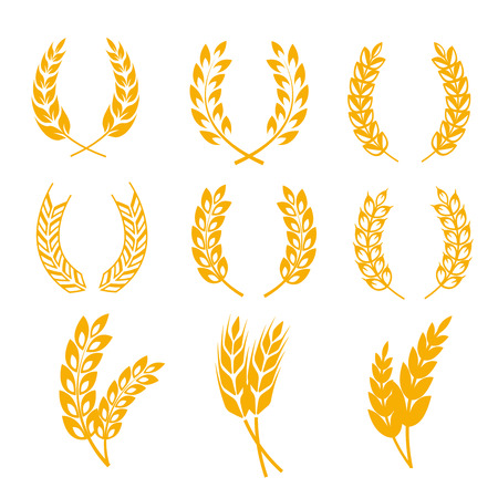Rye wheat ears wreaths vector elements for bread and beer labels. Harvest cereal golden rye illustrationのイラスト素材