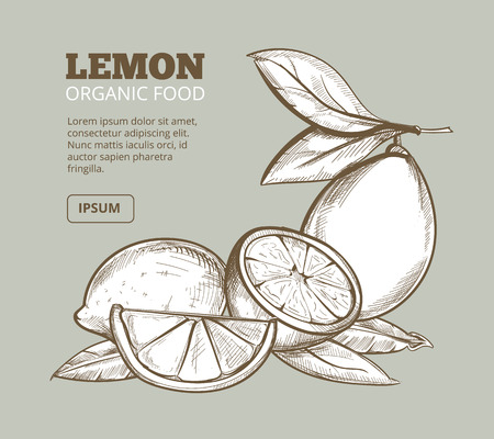 Vintage floral background with hand drawn lemon organic and natural food. Vector illustrationのイラスト素材