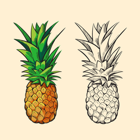 Outline pineapple and color cartoon pineapple with green leaves vector illustrationのイラスト素材