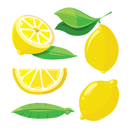 Fresh lemons with leaves, lemon slice isolated on white, vector set in cartoon styleのイラスト素材