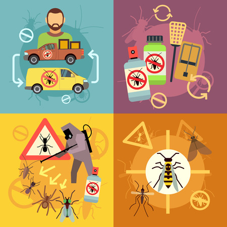 Home pest control service flat concepts set. Protection from insects, job exterminator cockroach illustrationのイラスト素材