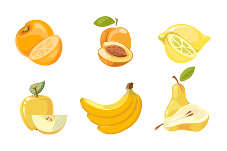 Vector yellow fruits collection isolated over white. Apricot and banana, orange and lemon illustrationの写真素材