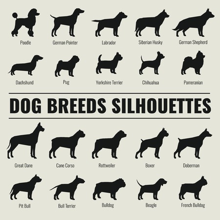 Dog breeds vector silhouettes set. Poodle and german shepherd, dachshund and pug illustrationのイラスト素材