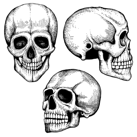 Hand drawn vector death scary human skulls collection. Skeleton head sketch with eyes and teethのイラスト素材