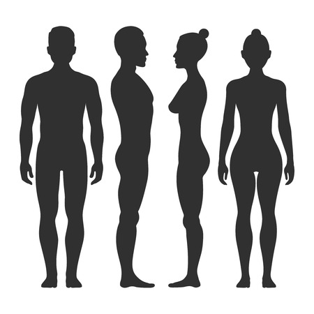 Man and woman vector silhouettes in front and side view. Illustration of body male and female illustrationのイラスト素材