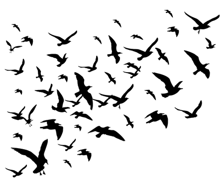 Flying birds flock vector illustration isolated on white background. Silhouette of black pigeon hawk and eagleのイラスト素材