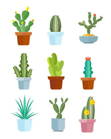 Cartoon cactus, desert plants vector icons. Bloom mexican cacti illustrationのイラスト素材