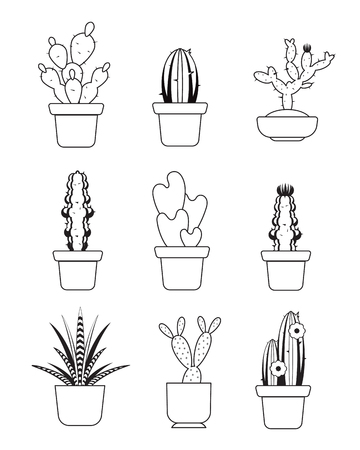 Vector hand drawn outline cactus, desert thorn tree set. Tropical plant with needle illustrationのイラスト素材