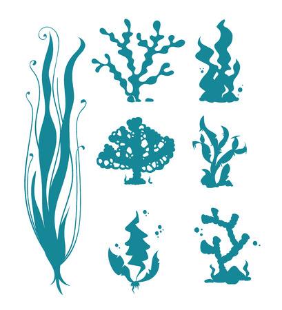 Underwater sea corals and algae vector silhouettes isolated on white. Ocean coral and reef, seaweed undersea. illustration of corals organismのイラスト素材