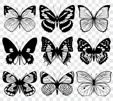 Butterfly silhouettes vector macro collection. Set of butterfly set, illustration of black silhouette butterfliesのイラスト素材