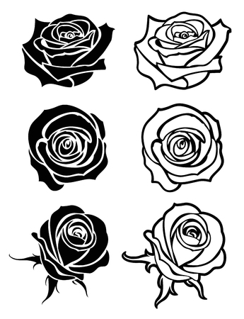 Close up rose vector tattooのイラスト素材