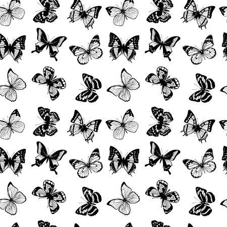 Vector seamless pattern with butterflies. Background with black butterflies, illustration of silhouette butterflyのイラスト素材