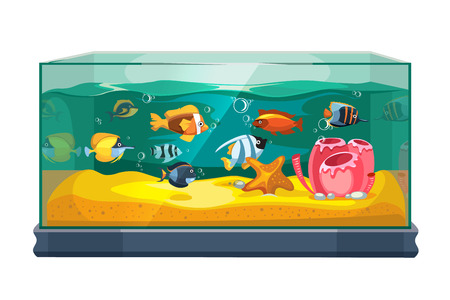 Cartoon freshwater fishes in tank aquarium vector illustration. Exotic cartoon fish in aquarium illustrationのイラスト素材