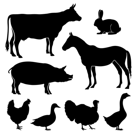 Farm, farmyard animals vector silhouettes. Livestock cattle and chicken, black silhouettes pig and duck, goose and rabbit illustrationのイラスト素材