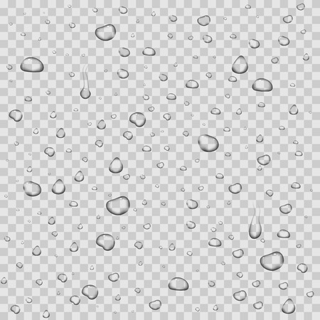 Realistic vector water drops transparent background. Clean drop condensation illustrationのイラスト素材