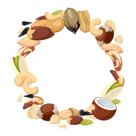 Various nuts blank frame vector illustration. Natural food in round frameのイラスト素材