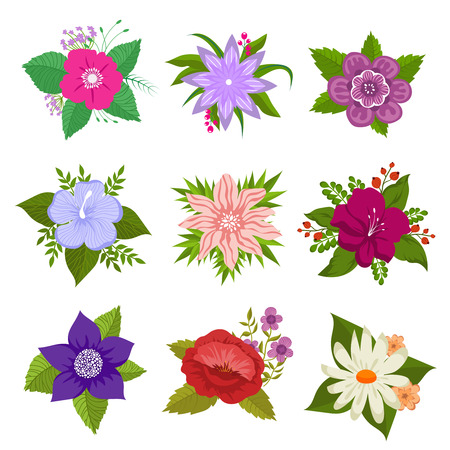Decorative nature flower vector set. Colored blossom flowers, garden flowers illustrationのイラスト素材