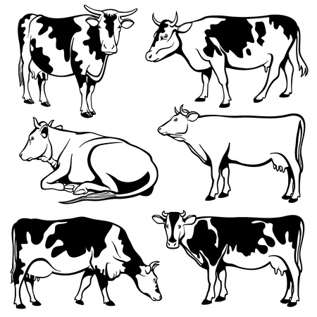 Black and white cows vector setのイラスト素材