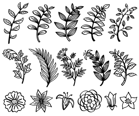 Sketch hand drawn branch and leaves vector decorative floral nature element. Branch sketch black and floral flower illustrationの写真素材