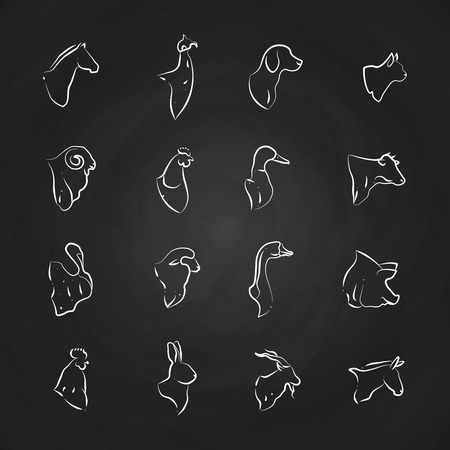 Farm animals and birds heads line icons on chalkboard. Vector illustrationのイラスト素材