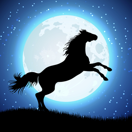 Silhouette of horse on the moon background. Animal in moon light. Vector illustrationのイラスト素材