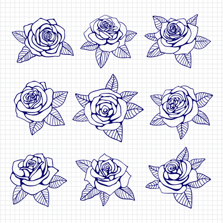 Ballpoint pen drawing roses setのイラスト素材