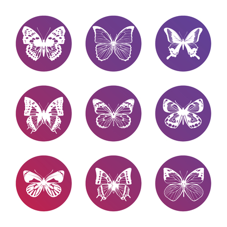 Bright icons with white butterflies silhouettesのイラスト素材