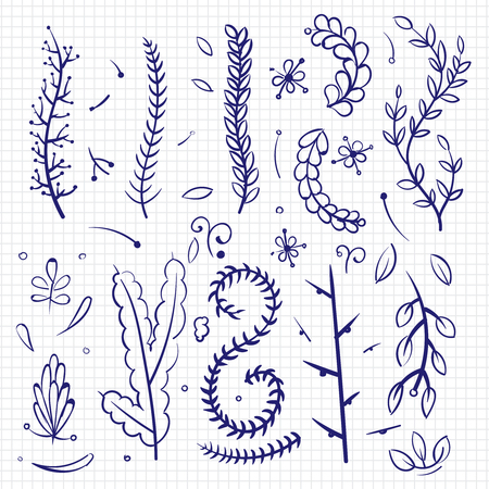 Hand drawn doodle branches and decorative elementsのイラスト素材
