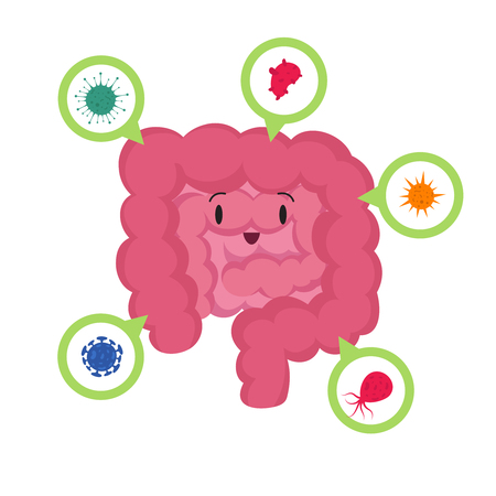 Cartoon happy human intestine with good microscopic bacteria medical probiotics vector conceptのイラスト素材
