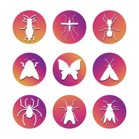 White insect silhouettes on coloful rounds. Popular insect icons set. Vector illustrationのイラスト素材