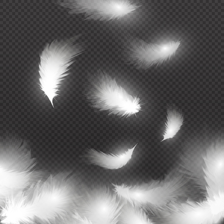 Falling white fluffy feathers on air isolated on black background. Easy symbol concept vector illustrationのイラスト素材