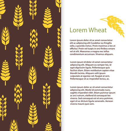 Wheat ears bread banner template. Grains flyer designのイラスト素材