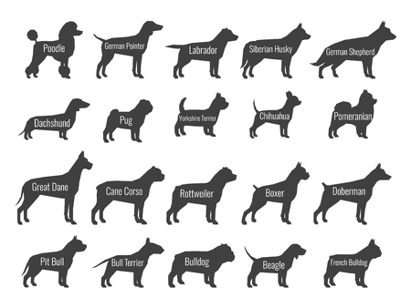 Black dog breeds vector silhouettes isolated on white backgroundのイラスト素材