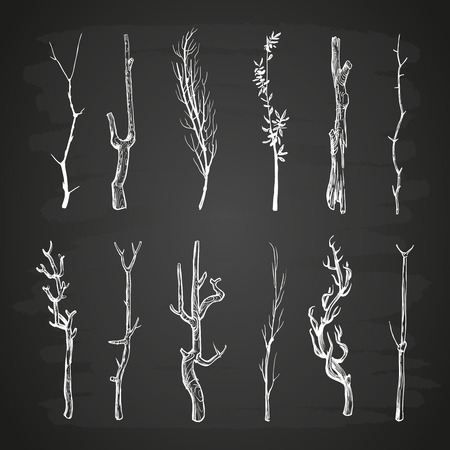 Sketch wood branches set on blackboardのイラスト素材