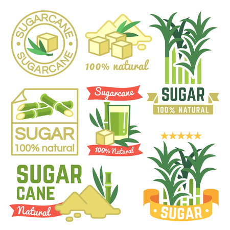Sugar production labels, sugarcane farm badges and emblems vector setのイラスト素材