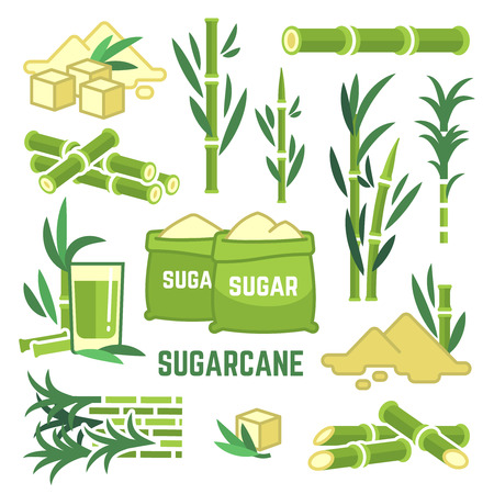 Sugar plant agricultural crops, cane leaf, sugarcane juice vector iconsのイラスト素材