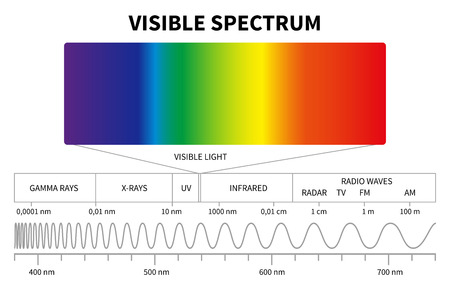 Visible light diagram. Color electromagnetic spectrum, light wave frequency. Educational school physics vector background. Illustration of spectrum diagram rainbow, infrared and electromagneticの写真素材