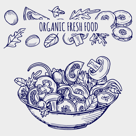 Hand drawn salad bowl and vegetables - ballpoint pen sketch healhty food vector illustrationのイラスト素材