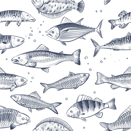 Sketch fishes seamless pattern. Etched ocean fish wrapper vector vintage background. Fish sea and ocean, seafood seamless marine illustrationの写真素材