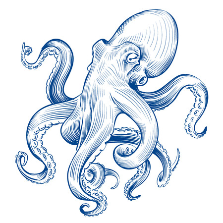 Vintage octopus. Hand drawn squid engraved ocean animal. Etching octopus vector illustration. Squid octopus animal, marine seafoodのイラスト素材