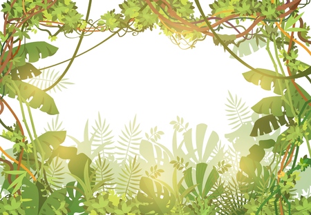 Jungle tropical background. Rainforest with tropic leaves and liana vines. Nature landscape with tropical trees. Vector illustration. Liana jungle green nature, tropical landscape forestのイラスト素材