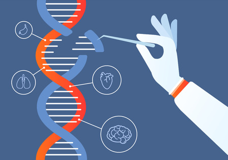 Dna engineering. Genome crispr cas9, gene mutation code modification. Human biochemistry and chromosomes research vector concept. Illustration of gene engineering, mutation code geneticのイラスト素材